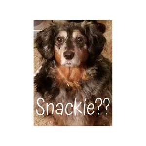 Meet your Posher, Oh My Meeska!!